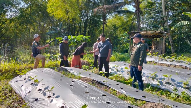 
Kunjungan Kolaboratif Bapeltan Jawa Tengah dan PCNU Kabupaten Magelang, Dorong Kemajuan Pertanian Lokal
