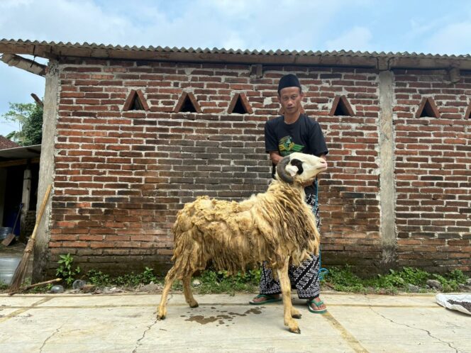 
Dobrak Pasar Musiman, Divisi Ekonomi GP Ansor Kabupaten Magelang Sediakan Hewan Qurban Mulai Rp2,5 Juta